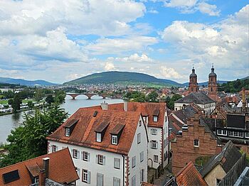 Blick über Miltenberg vom Turm der Brauerei Faust