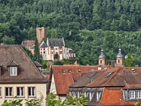Blick über die Dächer von Miltenberg zur Mildenburg