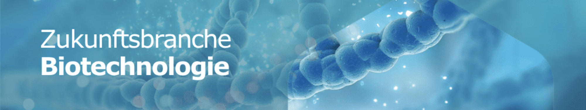 MEDICAL BioHealth