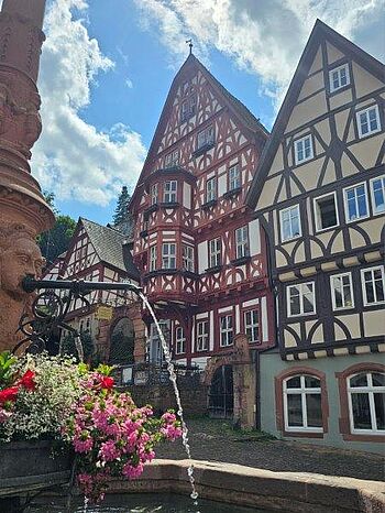 Schnatterloch mit Fachwerkhäusern