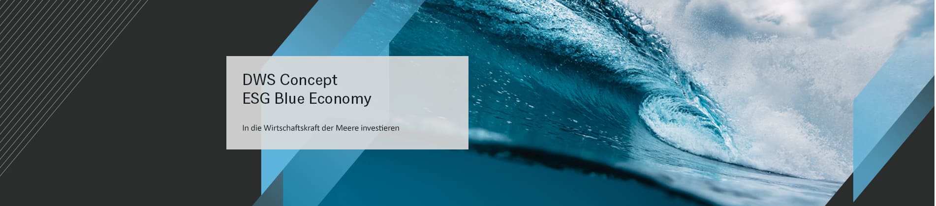 DWS Concept ESG Blue Economy DWS Concept ESG Blue Economy